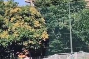 真敢做动作！文班休赛期踢足球倒钩，马刺管理层看完心里一惊